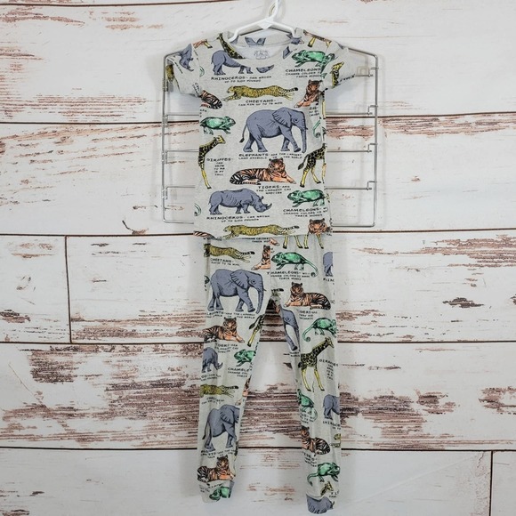 The Children's Place Other - Childrens place animal pajamas short sleeve 4T
